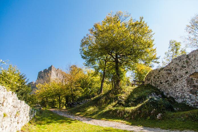 Burgberg in Losenstein