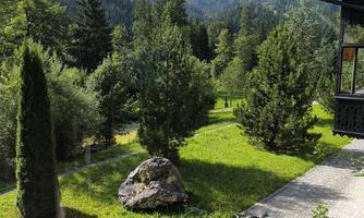 A green meadow with various trees and a large stone. In the background, gentle mountains can be seen under a blue sky.