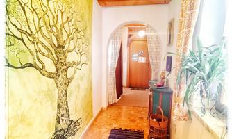 A bright hallway with an artistic tree mural. The floor is covered with a colorful carpet, and plants create an inviting atmosphere.