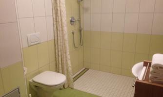 A simple bathroom with a shower, toilet, and a sink. The walls are bright tiled and the floor is green.