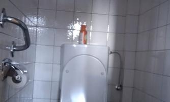 A simple bathroom with a white toilet and tiled walls. In the background, some bathroom fixtures and a shelf can be seen.