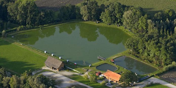 Fischen am Kirchdorfer Teich