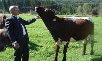 A man in a suit is petting a brown-and-white cow on a green meadow. In the background, trees and a clear sky can be seen.