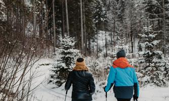Two people are snowshoeing through a snowy landscape. In the background, tall mountains and dense coniferous trees can be seen.