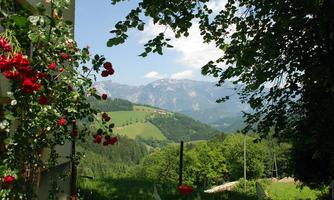 A beautiful landscape with green meadows and mountains in the background. Colorful flowers are featured in the foreground, adding color to the image.