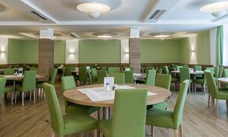 A modern restaurant with green chairs and tables. The walls are painted in soft green tones and there is a lot of daylight.
