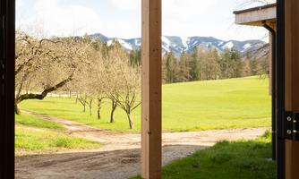A view from a modern building overlooking a green meadow and mountains in the background. The scene is bright and inviting, with trees in the foreground.