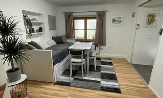 A bright living room with a comfortable sofa bed and a dining area. Large windows and modern decor give the room an inviting atmosphere.