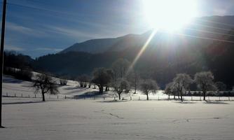 A snow-covered landscape with trees and mountains in the background. The sun shines brightly, creating a sparkling light reflection on the snow.