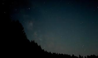 A clear night sky full of stars shines over a dark forest. The silhouettes of the trees are visible on the horizon.