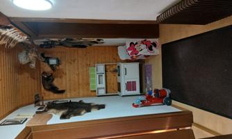A flat hallway with wooden paneling and decorative animal skins on the wall. On a small dresser are toys and a decorative Minnie Mouse box.