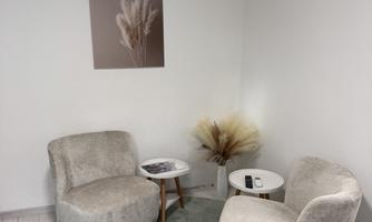 A cozy room with two modern armchairs and a round rug. A decorative plant and an artistic picture hang on the walls.