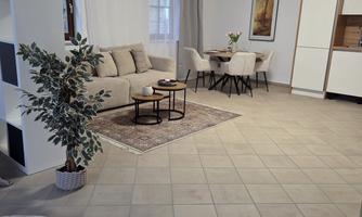 A modern furnished living room with comfortable furniture and a dining table. The space is bright and friendly, with a plant as an accent.