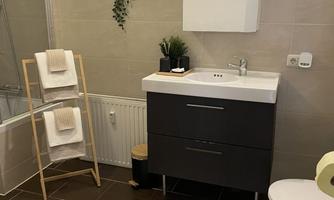 A modern bathroom with an elegant sink unit and a mirror. Towels and plants are decoratively arranged on a wooden shelf.