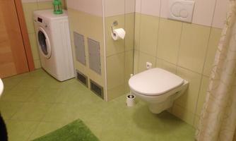 A bathroom with a washing machine, a toilet, and a green carpet. The walls are bright and the tiles are green.