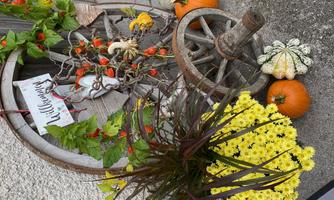 A rustic wooden wheel with autumn decorations, including pumpkins and colorful flowers. The sign "Welcome" adds a friendly touch.