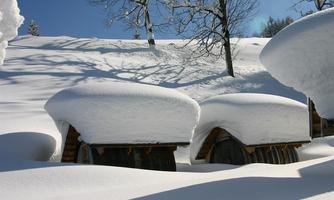 Two huts are hidden under heavy snow, while the landscape is illuminated by bright sunshine. The snow cover is thick and untouched, surrounded by snow-covered trees.