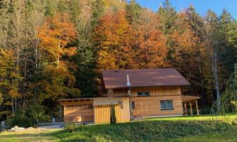 A wooden house surrounded by colorful autumn trees. The landscape is calm and idyllic.