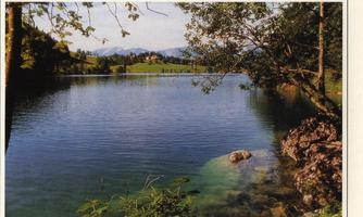A calm lake surrounded by trees and gentle hills. The surface of the water reflects nature.