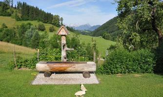 A wooden swing stands on a meadow with a view of gentle hills and mountains. In the foreground, a white rabbit can be seen.