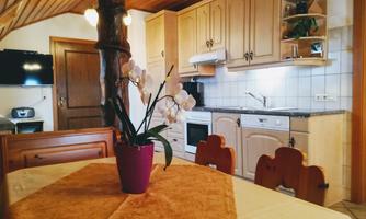 A cozy kitchen with wooden furniture and modern appliances. A blooming orchid bush in a colorful pot sits on the table.