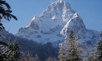 A tall, snow-covered mountain under a clear blue sky. Surrounded by winter trees and a serene, natural landscape.