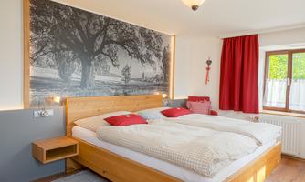A cozy bedroom with a large double bed and red pillows. On the wall, there is a black-and-white picture of a tree, and the room has a bright, inviting character.