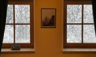 Two windows overlooking a snowy landscape and a gray sky. On the windowsill stand small decorative trees.