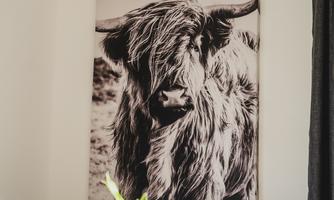 A stylish dining room with a table set for meals. A large portrait of a Highland cow hangs on the wall.