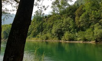 A tranquil river surrounded by green trees and hills. Nature radiates peace and beauty.