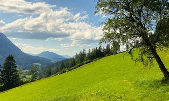 A green meadow with a tree and a view of the mountains. The sky is blue with some clouds.