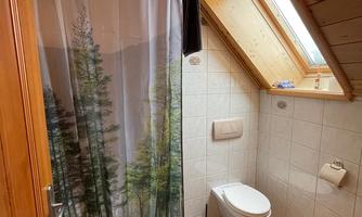 A bathroom with a shower that features a curtain with a tree design. There is a sloped window and a toilet.