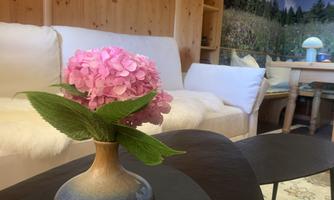A cozy living room with a white sofa and a small table. In the center, there is a vase with pink hydrangeas and green leaves.