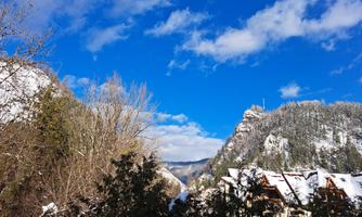 A wintry landscape with snow-covered mountains and a bright blue sky. In the foreground, trees and some houses are visible.