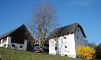 A rural estate with two buildings and a large tree. In the background, there is a clear blue sky and fresh greenery.