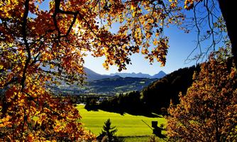 A picturesque landscape with colorful autumn leaves. In the background, mountains and a clear blue sky can be seen.