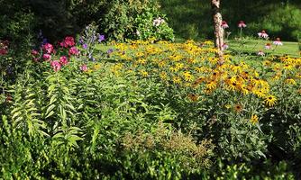 A blooming garden with many colorful flowers, including yellow sunflowers and purple lava bags. The garden radiates a calm and inviting atmosphere.