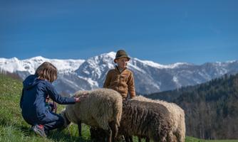 Two children are standing in a meadow taking care of sheep. Snow-covered mountains and a clear sky can be seen in the background.