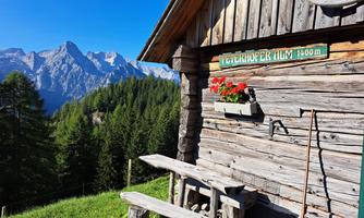 A picturesque cabin in the mountains with a sign that says "Peterhofer Alm 1400 m." In the foreground, there are flowers, and it is surrounded by green forests and majestic mountains.
