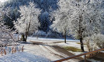 A picturesque winter landscape with snow-covered trees and a wooded hill in the background. The sky is clear and blue, brightening the scene.