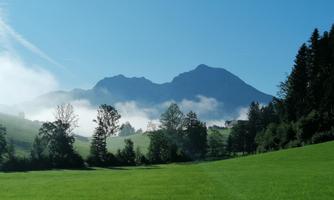 A green meadow with trees and mountains in the background. The sky is clear and blue, with some mist over the mountains.