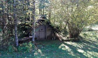 A small, rustic cabin surrounded by trees and green grass. The sun shines through the leaves, creating a calm, idyllic atmosphere.
