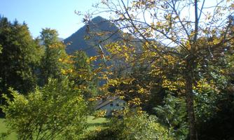 A picturesque landscape with colorful trees and a clear sky. In the background, gentle mountains can be seen.