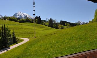 A green landscape with gentle hills and a narrow road. In the background, snow-capped mountains and coniferous trees can be seen.