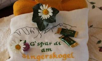 An orange bear is sitting on a cushion with flowers and a small green plant. The cushion is embroidered with the words "G'spür di am Singerskogel."