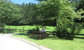 A quiet meadow surrounded by trees and shrubs. A person sits at a table and reads in a beautiful, green environment.