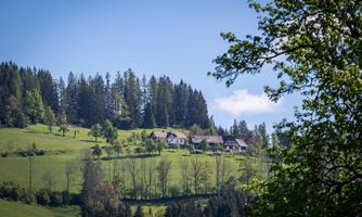 An idyllic landscape with gentle hills and lush greenery. In the background, there are some farmhouses and a forest.