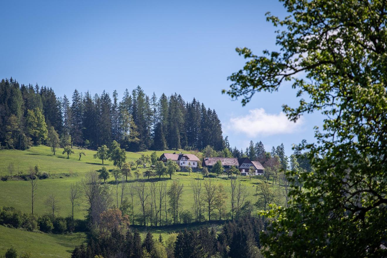 Pension Moosgierler