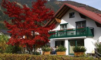 A beautiful house with a balcony and a colorful maple tree in the foreground. In the background, mountains and a clear sky can be seen.