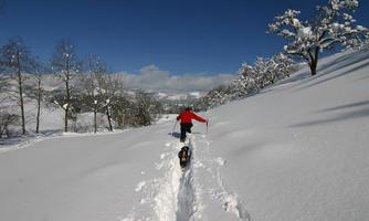 A person in a red jacket is hiking through deep snow. In the background, snow-covered trees and a clear blue sky can be seen.